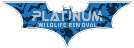 Dowagiac Wildlife Control